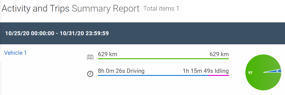 Example of an Activity and Trips Summary Report.